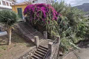 Teror Centro – Viviendas Vacacionales