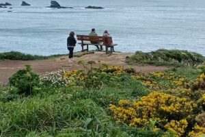 The Cliffs of Loiba Descanso del Peregrino