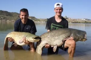 The Compleat Ebro Angler