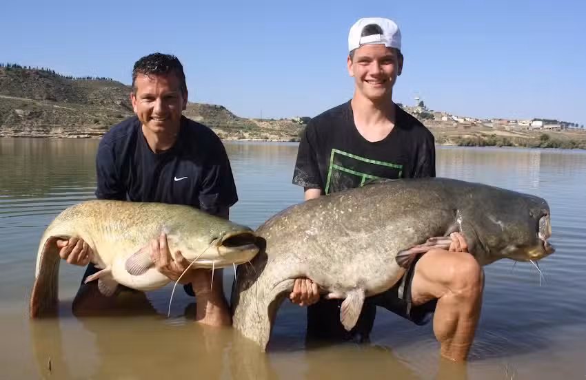 The Compleat Ebro Angler