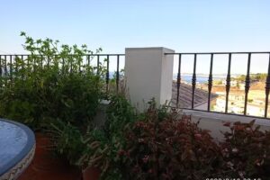 Torrequebrada Seaside