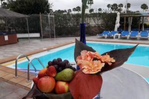 Tropical La Zona Gay Resort