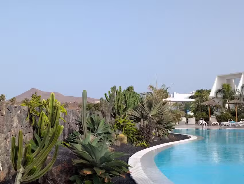 TUI SUNEO Ficus Premium Appts