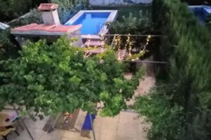 Urbanización Los Olivos