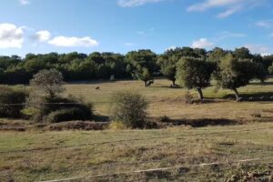 Valle de Juarros Casa rural apartamento turístico