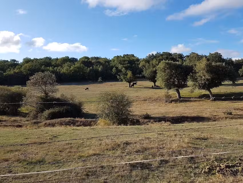 Valle de Juarros Casa rural apartamento turístico