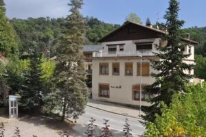 Vavi Scp ( FONDA SAFAJA )