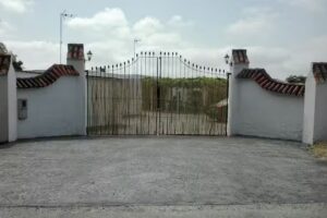 VEJER VIDA Y NATURALEZA