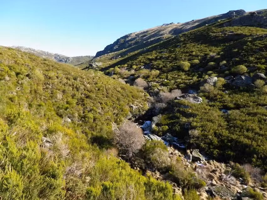 Velilla Cabaña San Felipe