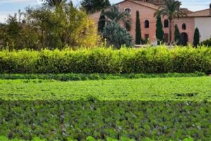 Villa Casa Verna – Casa Rural