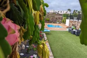 Villa Jardin Atteneri