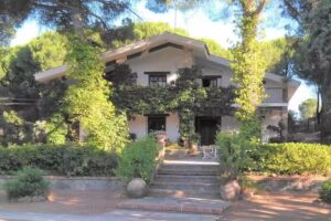 Viña Arroyo del Gallo