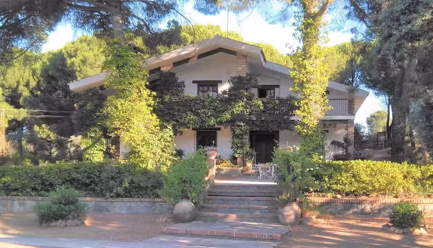 Viña Arroyo del Gallo