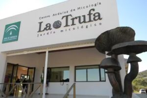 Vivienda Rural Sierra Alcaide