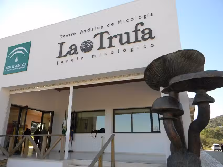 Vivienda Rural Sierra Alcaide