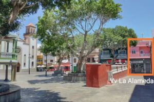 Vivienda vacacional «La Alameda»