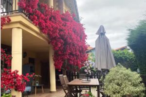 Vivienda Vacacional La Venta de Arguedes