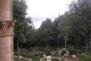 Xalet Serra Tramuntana Lluc