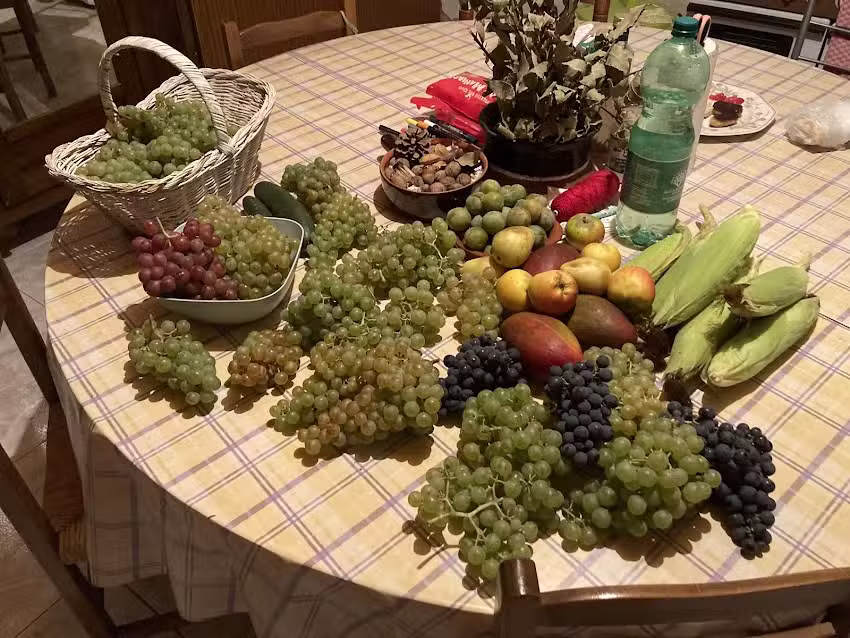 ZoeLou Village – Albergue Donativo