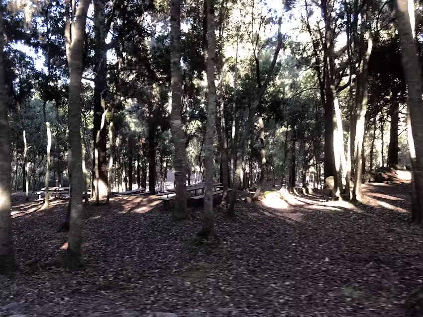 Zona De Acampada De La Tahona